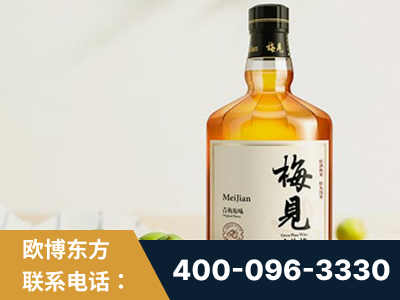 枣庄-梅见青梅酒